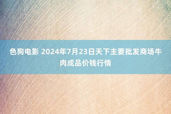 色狗电影 2024年7月23日天下主要批发商场牛肉成品价钱行情