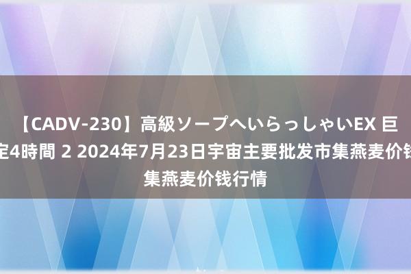 【CADV-230】高級ソープへいらっしゃいEX 巨乳限定4時間 2 2024年7月23日宇宙主要批发市集燕麦价钱行情