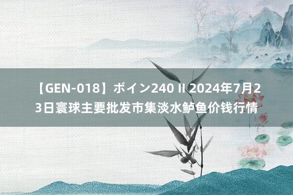 【GEN-018】ボイン240 II 2024年7月23日寰球主要批发市集淡水鲈鱼价钱行情