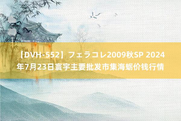 【DVH-552】フェラコレ2009秋SP 2024年7月23日寰宇主要批发市集海蛎价钱行情