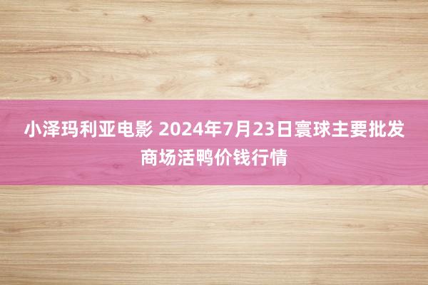 小泽玛利亚电影 2024年7月23日寰球主要批发商场活鸭价钱行情