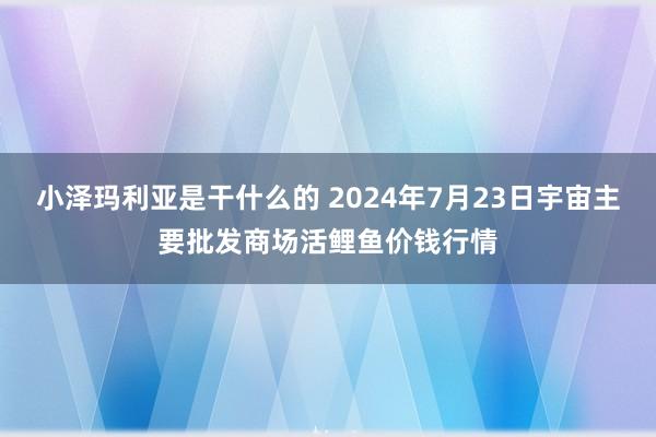 小泽玛利亚是干什么的 2024年7月23日宇宙主要批发商场活鲤鱼价钱行情