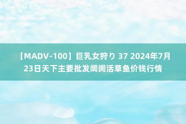 【MADV-100】巨乳女狩り 37 2024年7月23日天下主要批发阛阓活草鱼价钱行情