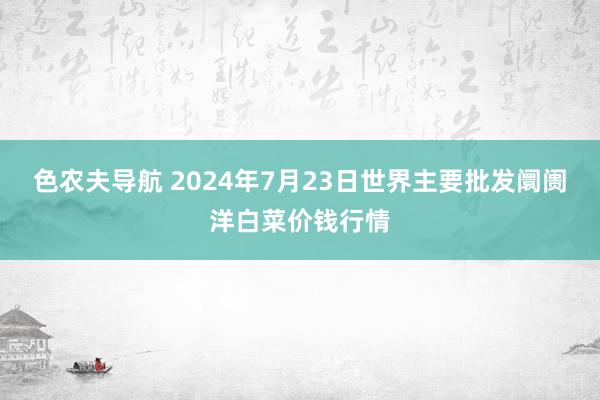 色农夫导航 2024年7月23日世界主要批发阛阓洋白菜价钱行情