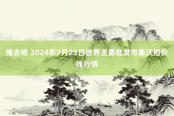 俺去啦 2024年7月23日世界主要批发市集沃柑价钱行情