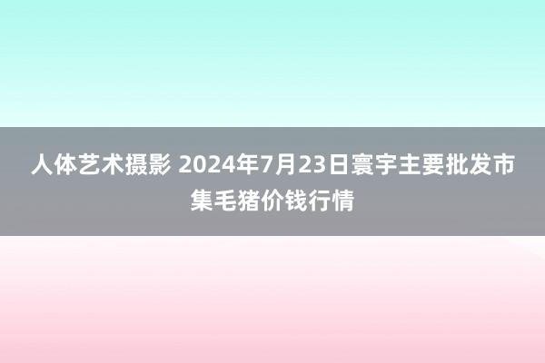 人体艺术摄影 2024年7月23日寰宇主要批发市集毛猪价钱行情