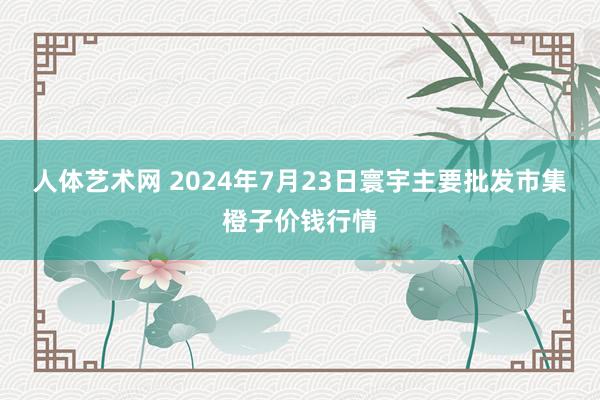 人体艺术网 2024年7月23日寰宇主要批发市集橙子价钱行情