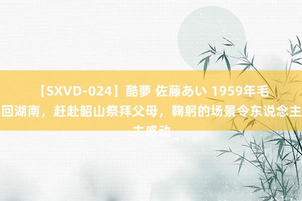 【SXVD-024】酷夢 佐藤あい 1959年毛主席回湖南，赶赴韶山祭拜父母，鞠躬的场景令东说念主感动