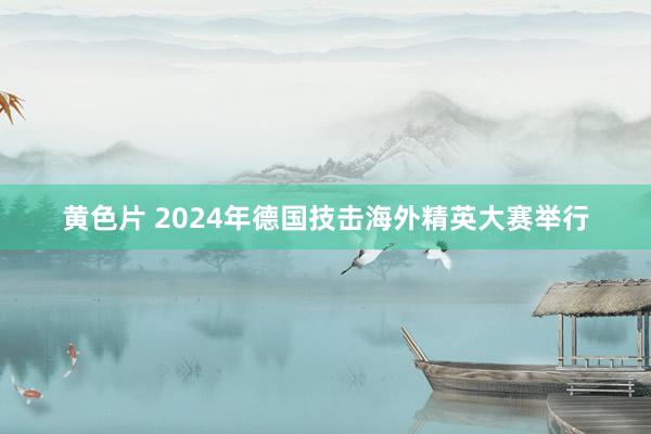 黄色片 2024年德国技击海外精英大赛举行