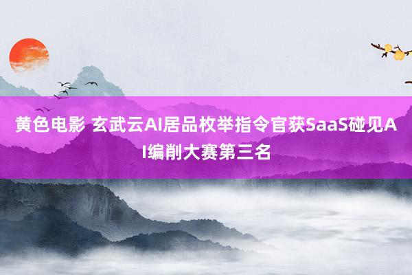 黄色电影 玄武云AI居品枚举指令官获SaaS碰见AI编削大赛第三名