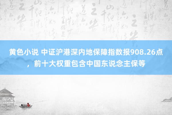 黄色小说 中证沪港深内地保障指数报908.26点，前十大权重包含中国东说念主保等