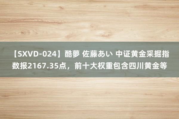 【SXVD-024】酷夢 佐藤あい 中证黄金采掘指数报2167.35点，前十大权重包含四川黄金等