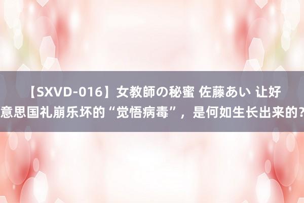 【SXVD-016】女教師の秘蜜 佐藤あい 让好意思国礼崩乐坏的“觉悟病毒”，是何如生长出来的？