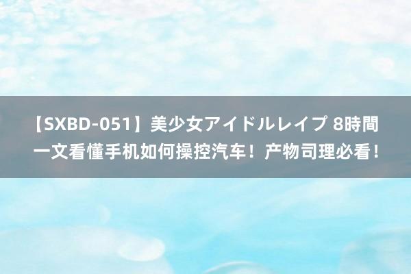 【SXBD-051】美少女アイドルレイプ 8時間 一文看懂手机如何操控汽车！产物司理必看！