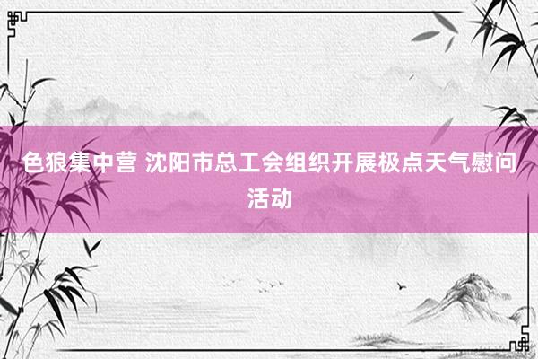 色狼集中营 沈阳市总工会组织开展极点天气慰问活动