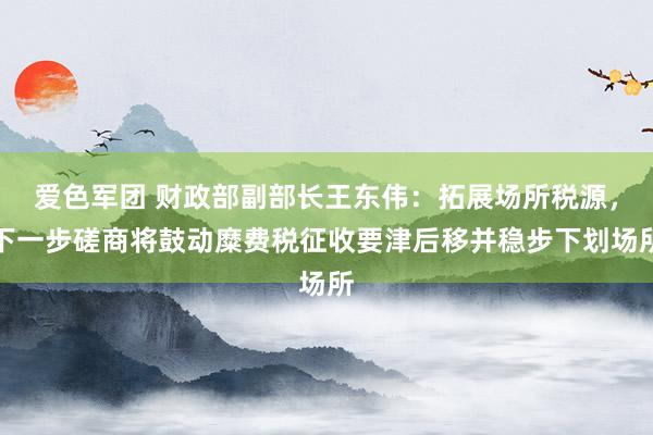 爱色军团 财政部副部长王东伟：拓展场所税源，下一步磋商将鼓动糜费税征收要津后移并稳步下划场所