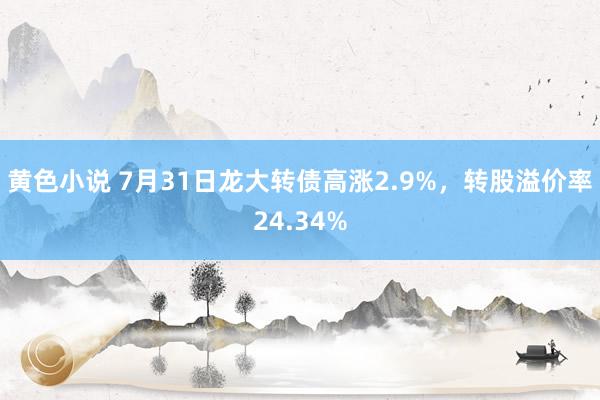 黄色小说 7月31日龙大转债高涨2.9%，转股溢价率24.34%