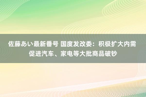 佐藤あい最新番号 国度发改委：积极扩大内需 促进汽车、家电等大批商品破钞