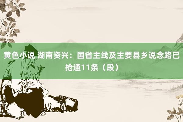 黄色小说 湖南资兴：国省主线及主要县乡说念路已抢通11条（段）