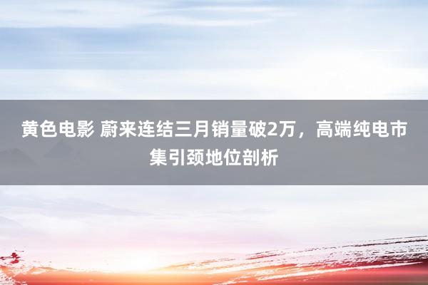 黄色电影 蔚来连结三月销量破2万，高端纯电市集引颈地位剖析