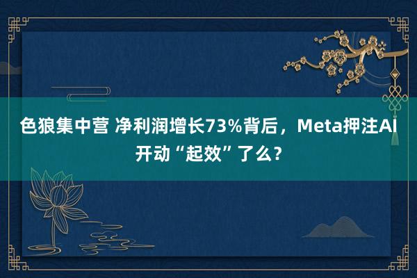 色狼集中营 净利润增长73%背后，Meta押注AI开动“起效”了么？