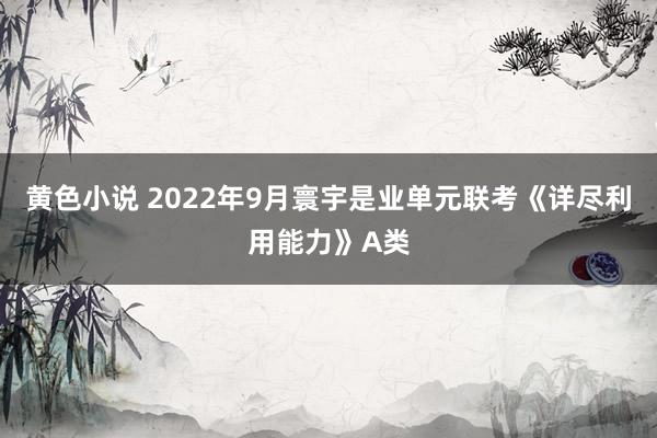 黄色小说 2022年9月寰宇是业单元联考《详尽利用能力》A类