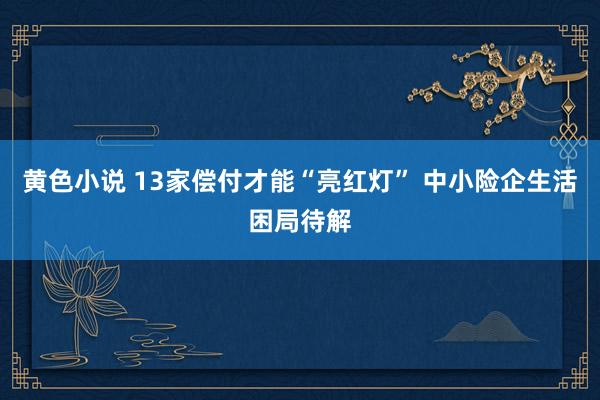 黄色小说 13家偿付才能“亮红灯” 中小险企生活困局待解