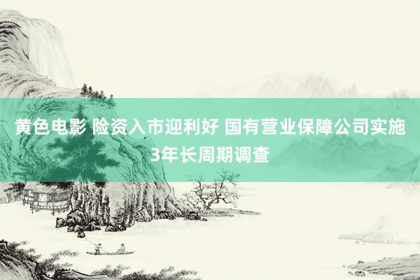 黄色电影 险资入市迎利好 国有营业保障公司实施3年长周期调查