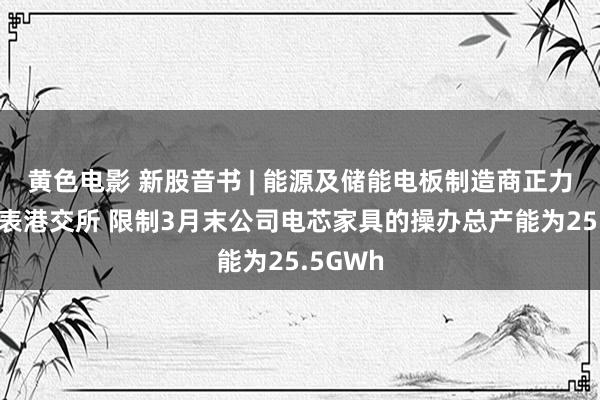 黄色电影 新股音书 | 能源及储能电板制造商正力新能递表港交所 限制3月末公司电芯家具的操办总产能为25.5GWh