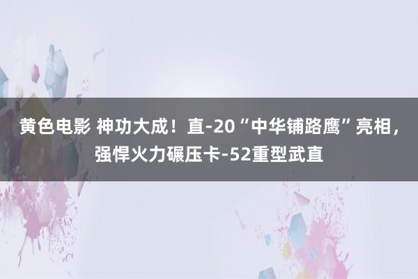 黄色电影 神功大成！直-20“中华铺路鹰”亮相，强悍火力碾压卡-52重型武直