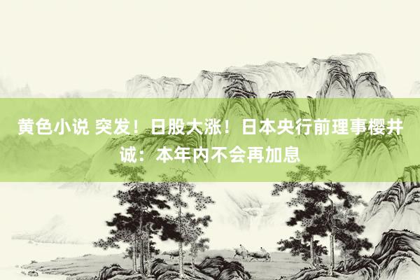 黄色小说 突发！日股大涨！日本央行前理事樱井诚：本年内不会再加息