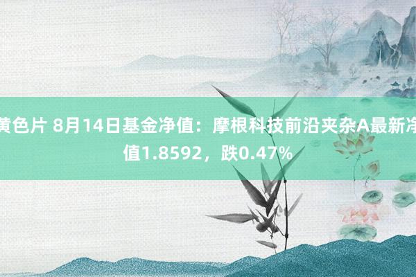 黄色片 8月14日基金净值：摩根科技前沿夹杂A最新净值1.8592，跌0.47%