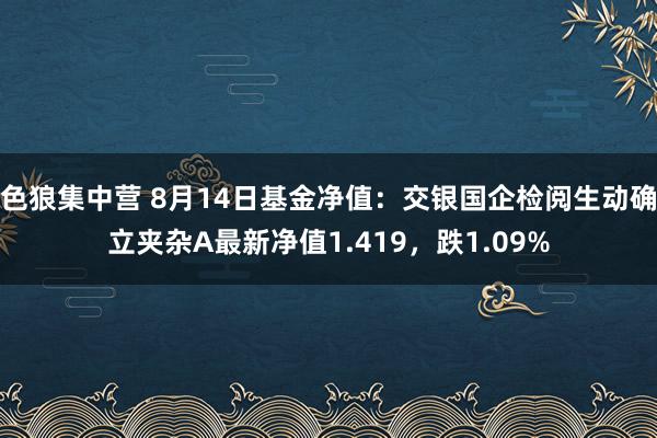 色狼集中营 8月14日基金净值：交银国企检阅生动确立夹杂A最新净值1.419，跌1.09%