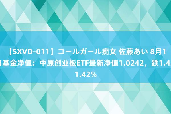 【SXVD-011】コールガール痴女 佐藤あい 8月14日基金净值：中原创业板ETF最新净值1.0242，跌1.42%