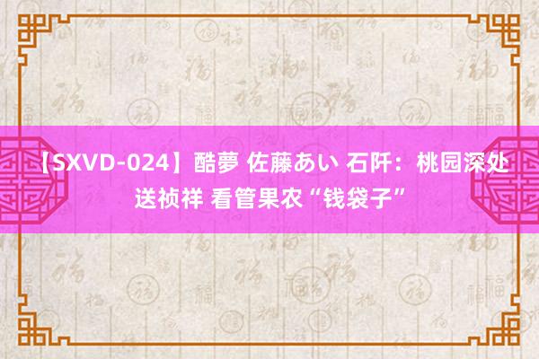 【SXVD-024】酷夢 佐藤あい 石阡：桃园深处送祯祥 看管果农“钱袋子”