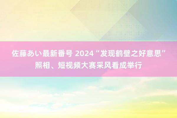 佐藤あい最新番号 2024“发现鹤壁之好意思”照相、短视频大赛采风看成举行