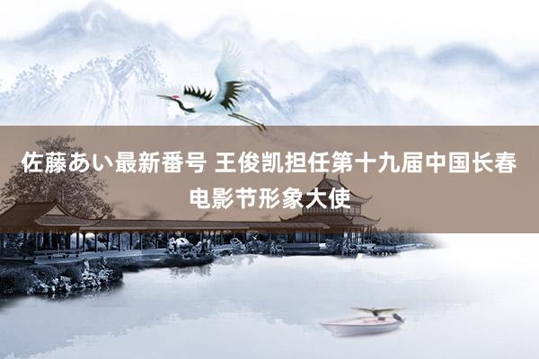 佐藤あい最新番号 王俊凯担任第十九届中国长春电影节形象大使