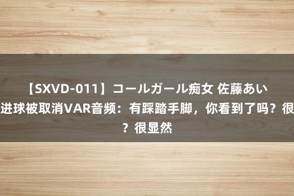 【SXVD-011】コールガール痴女 佐藤あい 莱万进球被取消VAR音频：有踩踏手脚，你看到了吗？很显然