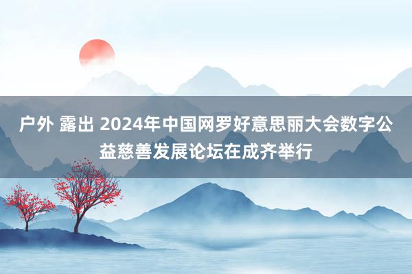 户外 露出 2024年中国网罗好意思丽大会数字公益慈善发展论坛在成齐举行