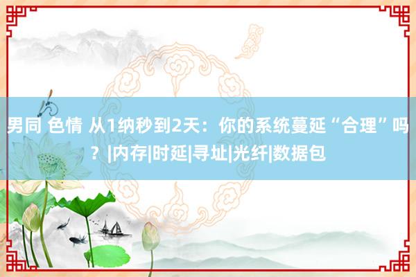 男同 色情 从1纳秒到2天：你的系统蔓延“合理”吗？|内存|时延|寻址|光纤|数据包